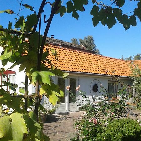 Appartamento De Vrijheid-Melkstal De Cocksdorp  Esterno foto