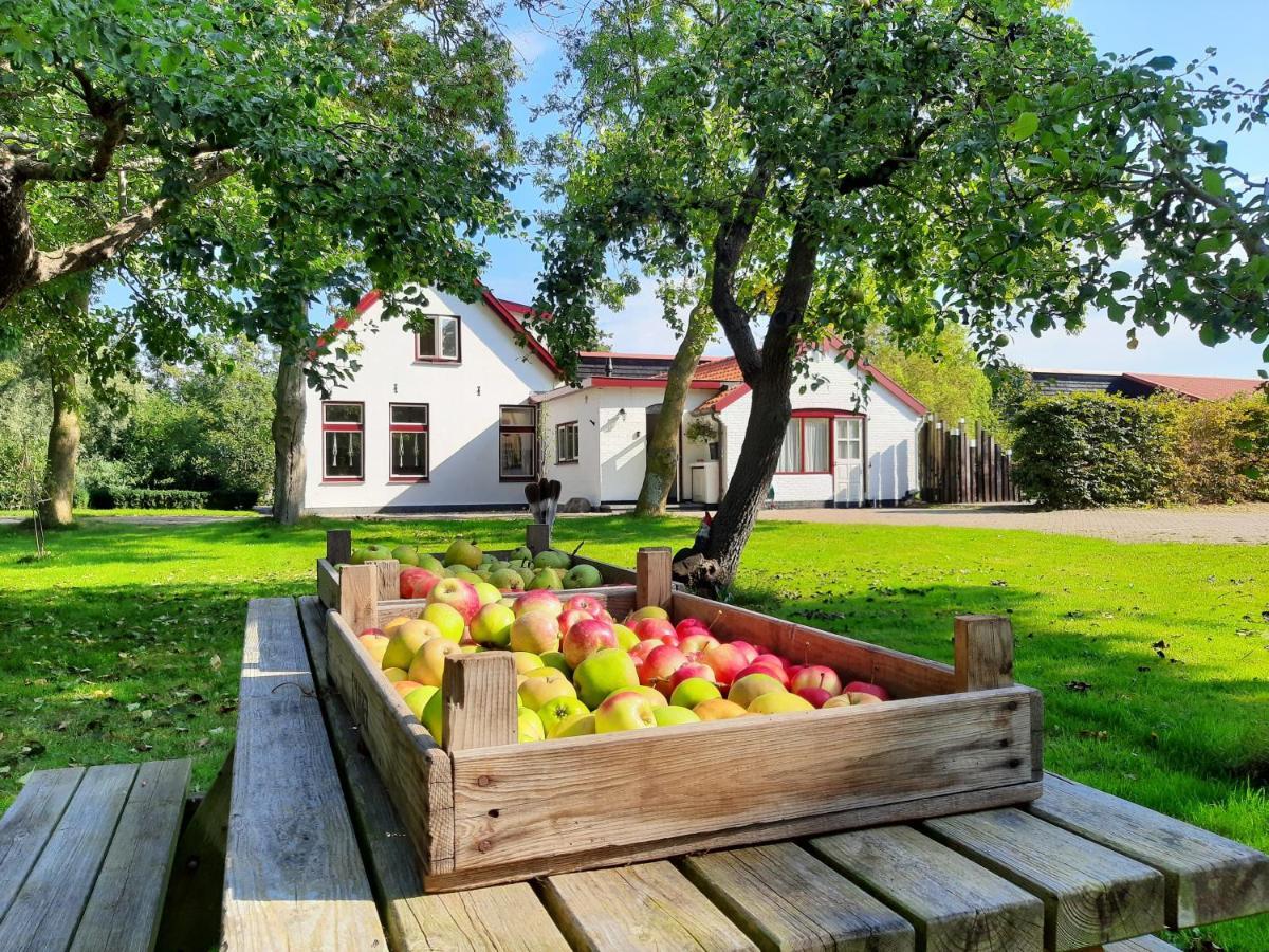 Appartamento De Vrijheid-Melkstal De Cocksdorp  Esterno foto